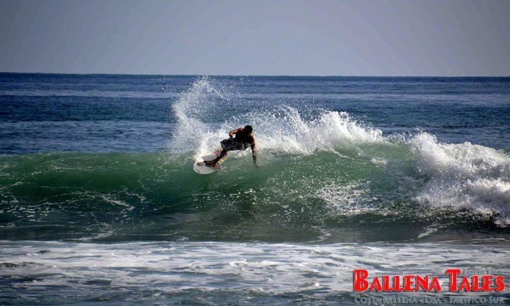 Ballena Dorada Lodge Uvita Εξωτερικό φωτογραφία
